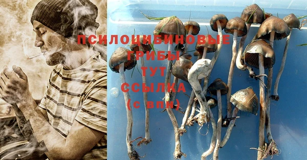 ГАЛЛЮЦИНОГЕННЫЕ ГРИБЫ Остров