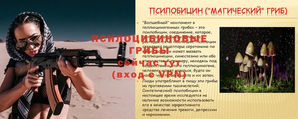 ГАЛЛЮЦИНОГЕННЫЕ ГРИБЫ Остров