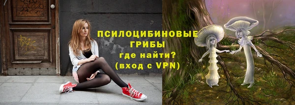экстази Пересвет