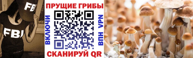 Галлюциногенные грибы ЛСД  наркота  Власиха 